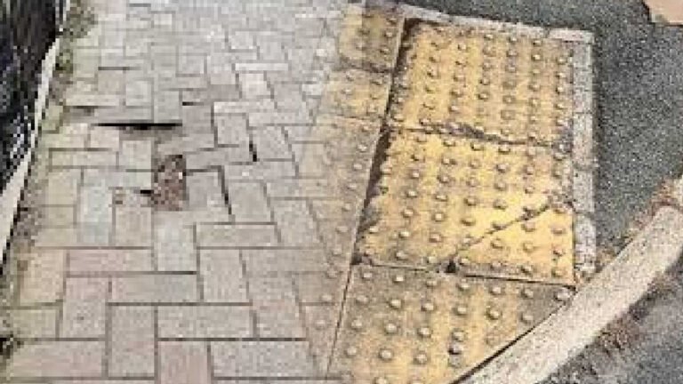 BAD PAVEMENTS BLEND